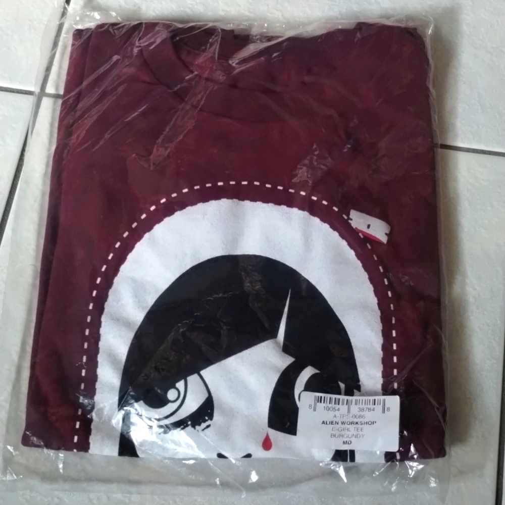 Alien workshop t